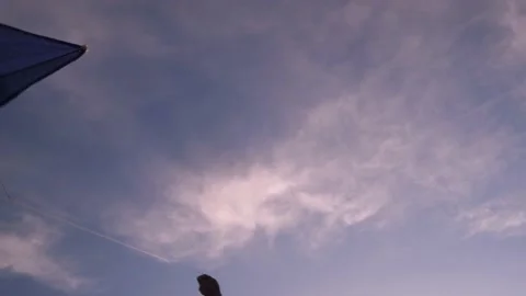 Blue kite soars in the sunset sky. Stock Footage 153415219