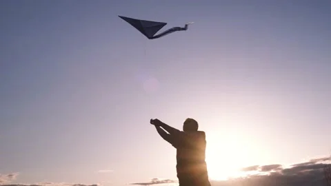 Blue kite soars in the sunset sky. Stock Footage 153415271