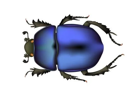 Blue Ladybugs Draw Stock Illustration