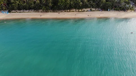 Blue lagoon and sandy beach with palms. Aerial view of blue lagoon and sun beds Stock Footage 111851796