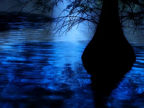 Blue Lagoon Stock Footage 489881