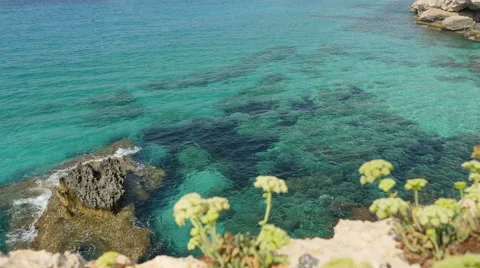 Blue lagoon. Stock Footage 55205752