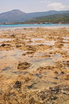 Blue Lagoon Stock Photos