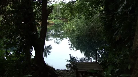 Blue Lagoon water reflection seen from in the trees Video stock 52614572