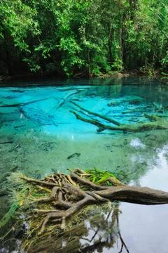 Blue Lake in Deep Forest Stock Photos