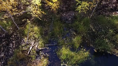 Blue Lake Stock Footage 81576371