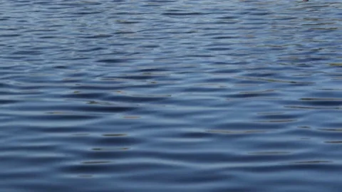 Blue Lake Video stock 82948753