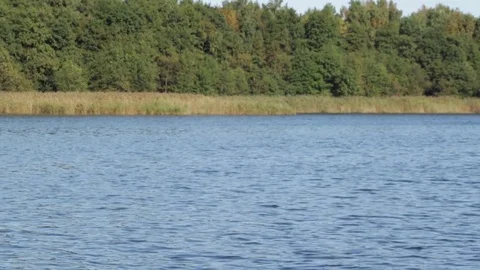 Blue lake in the forest 库存影片 85013026