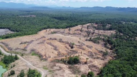 Blue Lake, a former mining site and barren area on the island of Kalimantan.. Stock Footage 322956254