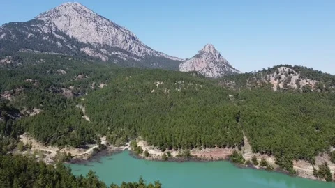 Blue lake in the mountains among the pine forest at altitude Stock Footage 209909519