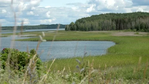 Blue lake near Braslav, Belarus. View through the grass on the lake shore. Stock Footage