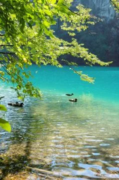 Blue lake Stock Photos