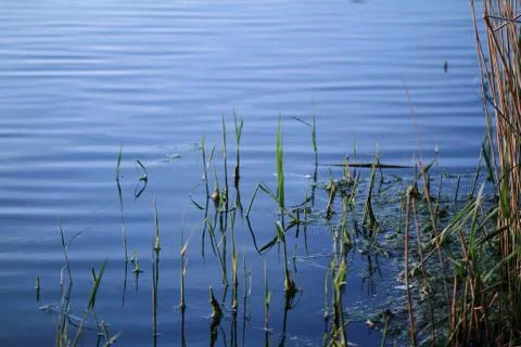 Blue lake Stock Photos
