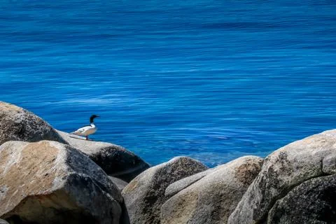 Blue Lake Foto stock