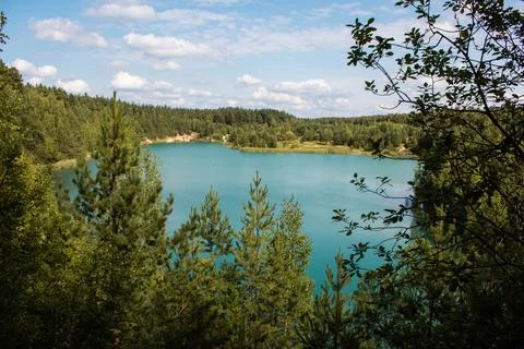 Blue lake in a pine forest Stock Photos