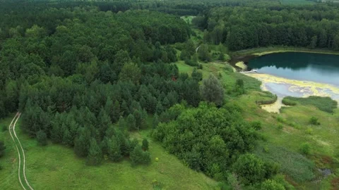 Blue lake with source in summer green forest Vidéo 267677821