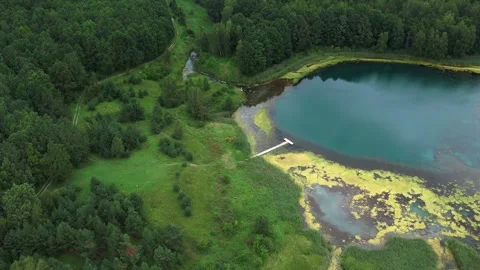 Blue lake with source in summer green forest Vidéo 267677860