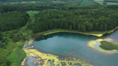 Blue lake with source in summer green forest Vidéo 267677893