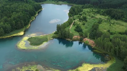 Blue lake with source in summer green forest Stock Footage 267677908