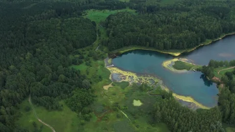 Blue lake with source in summer green forest Vidéo 267677993