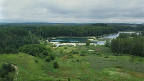 Blue lake with source in summer green forest Vidéo 267678001