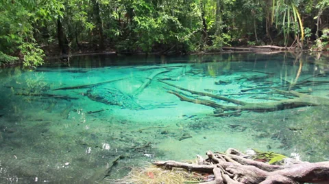 Blue lake, Spring Pool is the origin of emerald pool. Video stock 37759509