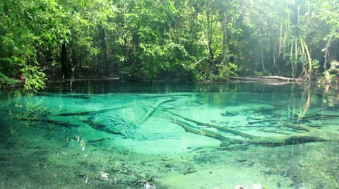 Blue lake, Spring Pool is the origin of emerald pool. Video stock 37759804