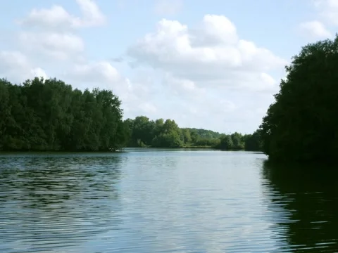 Blue lake on a summer day with tree island Stock Footage 342339767