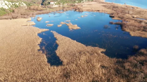 Blue lake surrounded by yellow grass - reeds and rush encircling a pond by Sasko Stock Footage 233329545