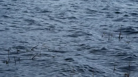 Blue lake waves Stock Footage 260800149