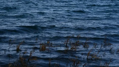 Blue lake waves Stock Footage 260800186