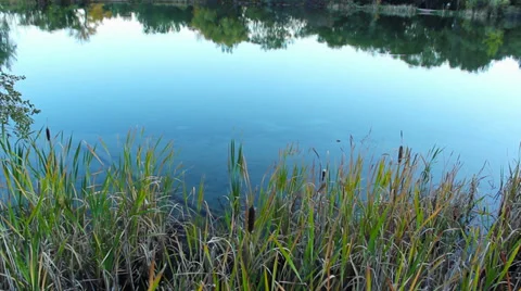 Blue lake wide reflection Stock-Footage 34814935