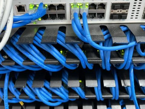 The blue lan cable jack is connected to the port in the Stock Photos