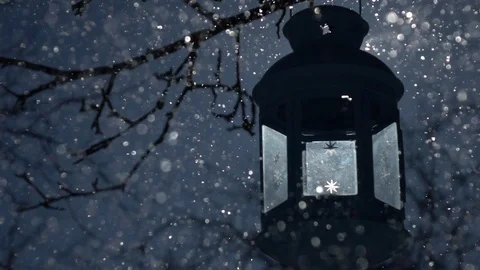 Blue lantern, hanging on apple leafless twig in thick snowfall with slow motion Stock-Footage 87872463