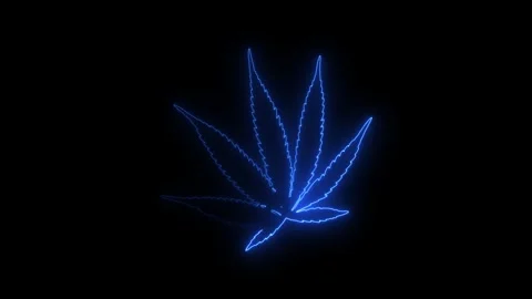 Blue laser light display creating abstract patterns in dark setting Stock Footage 346191518