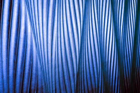 Blue leather with texture structure Stock Photos