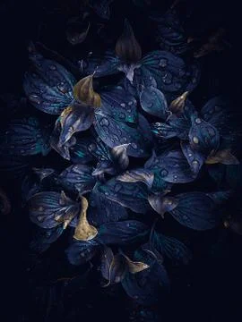The blue leaves Stock Photos