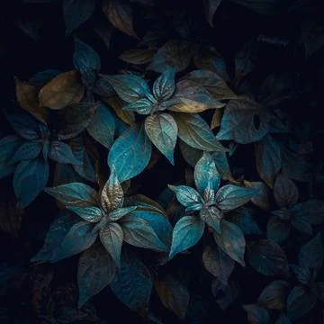 The blue leaves Stock Photos