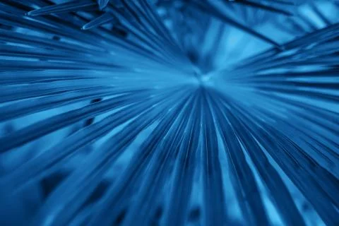 Blue leaves texture Stock Photos