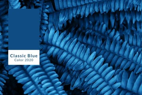 Blue leaves texture Stock Photos