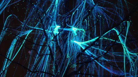 Blue led neon thread lights sway on branches of dark tree on black night Stock Footage 256507057
