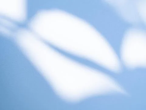 Blue Light Background Abstract Overlay Sun Shadow Leaf White Gradient 스톡 사진