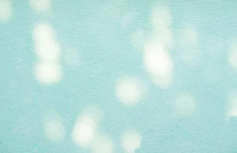 Blue Light Background Abstract Overlay Summer Sun Shadow Leaf White 스톡 사진