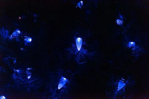 Blue light balbs pinecone shaped among the pine leaves in darkness of the night Stock Photos