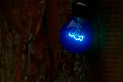 Blue light blub Stock Photos
