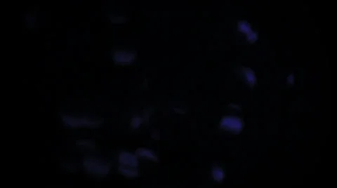 Blue Light Effect Transition Variations Stock Footage 34506393