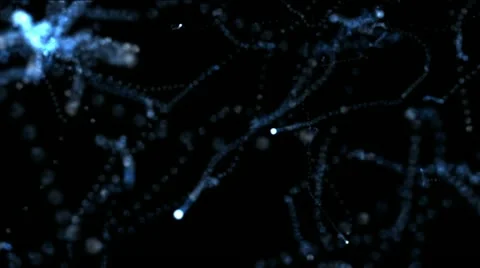 The blue light flashes on a black background 動画素材 12546633