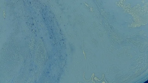 Blue light flow galaxy of cosmic paint colors in motion Stock Footage 108011202