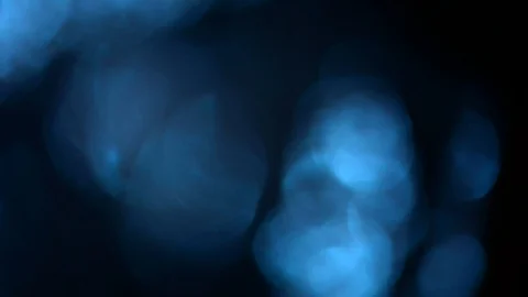Blue Light Leaks 4K - Overlay this on your footage to produce beautiful Effec Stock Footage 89079178