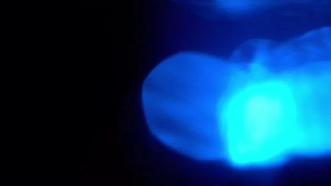 Blue Light Leaks for Transition Effects and Overlays. 4K Background Lights Stock Footage 211423437